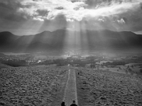 22-03-26 Heron-002  default