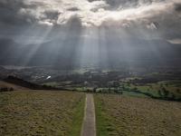 22-03-26 Heron-003  default