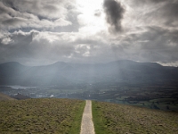 22-03-26 Heron-004  default