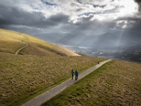 22-03-26 Heron-005  default