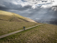 22-03-26 Heron-006  default