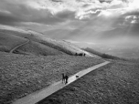 22-03-26 Heron-008  default