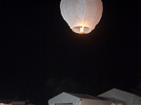Seaberg 458